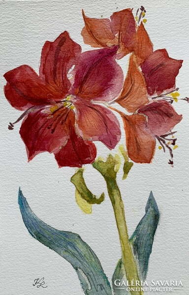 Amaryllis - watercolor - 24 x 16 cm