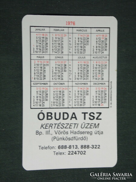 Card calendar, Óbuda tsz horticultural plant, Budapest, 1976, (2)