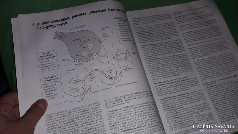 1996.M. J. Neal : short pharmacology pharmacy book by pictures springer