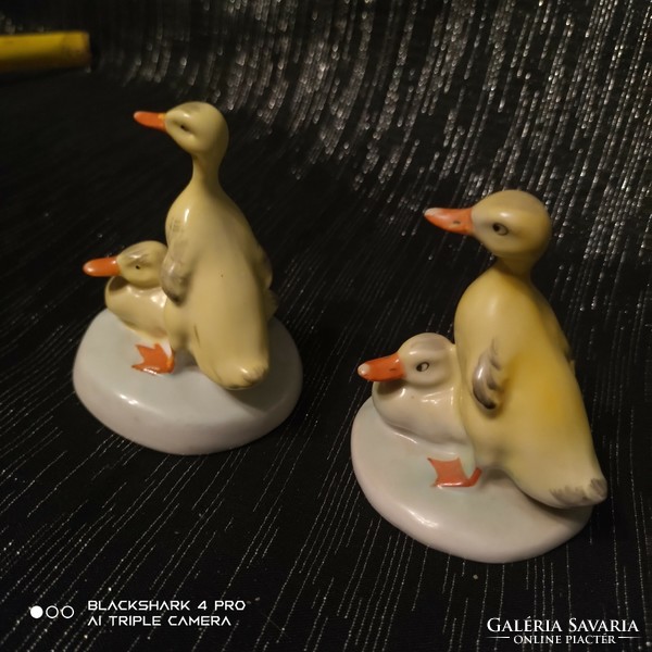 Pairs of Aquincum ducks