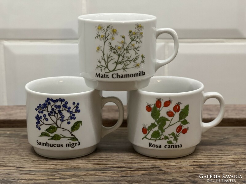 Seltmann weiden botanical mugs (2.5 dl)