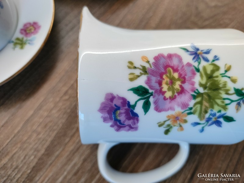 Alföldi szegfűmintás teljes porcelán kávéskészlet