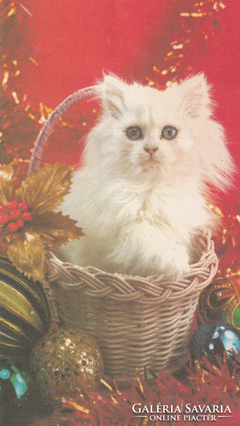 T:13 Karácsonyi  cicás képeslap kinyithatós