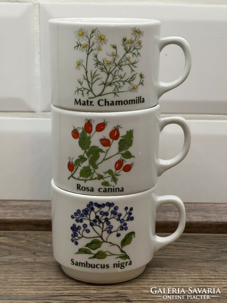 Seltmann weiden botanical mugs (2.5 dl)