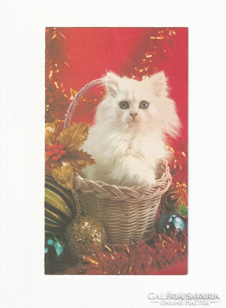 T: 13 Christmas cards with cats can be opened