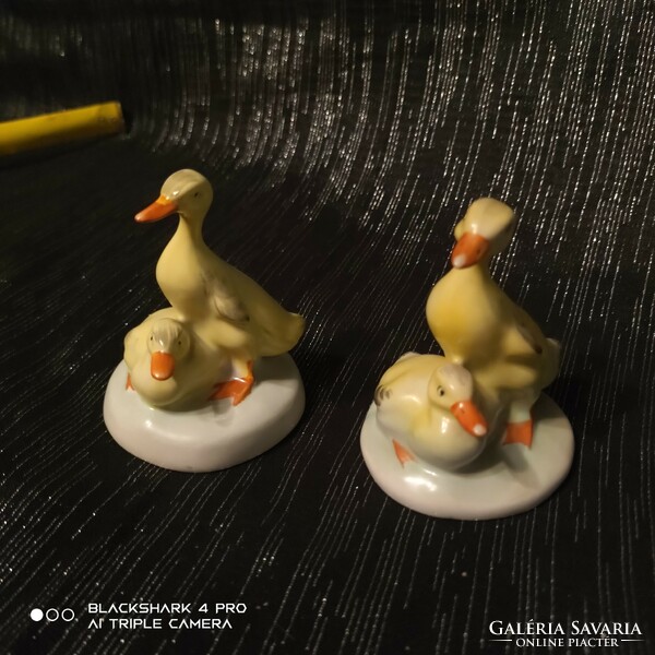 Pairs of Aquincum ducks