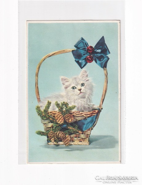 T:13 Christmas card with a kitten, postal clean replica