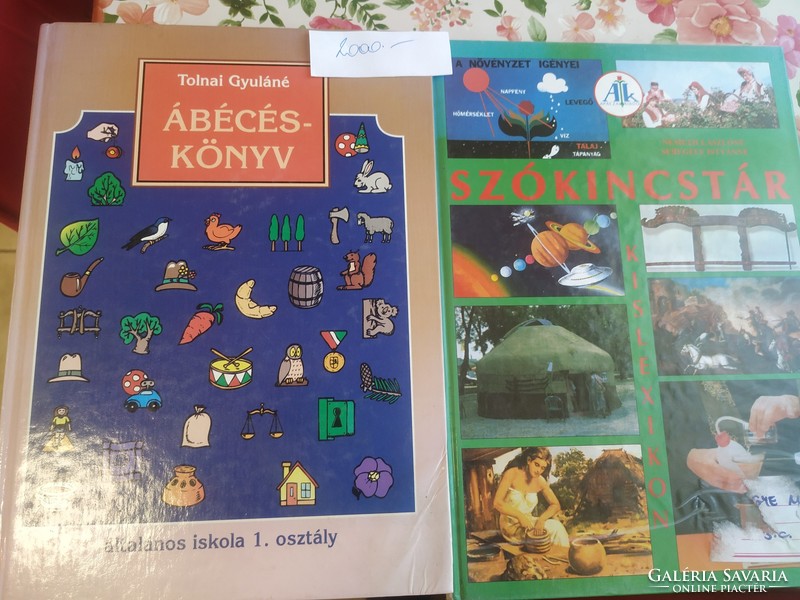 Alphabet book, dictionary book for sale!