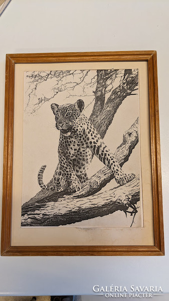 Leopard ink drawing by unknown artist