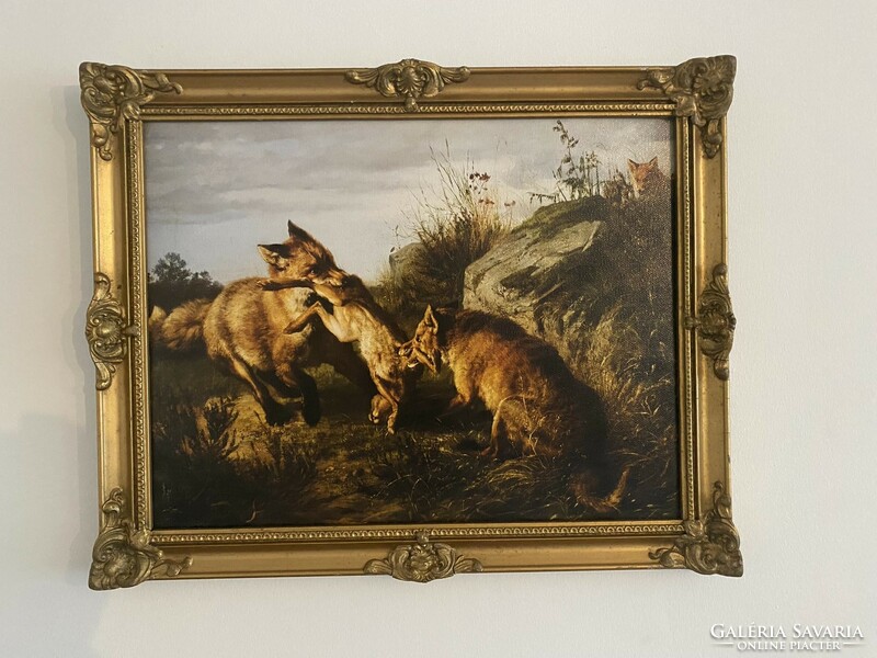 Hunting scene - print in antique frame - fight of foxes
