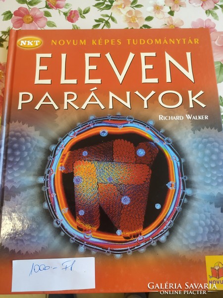 Eleven dwarfs book for sale!