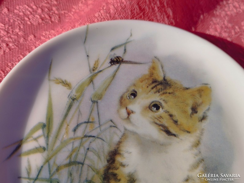 Gyönyörű porcelán cicás kicsi tányér, tál