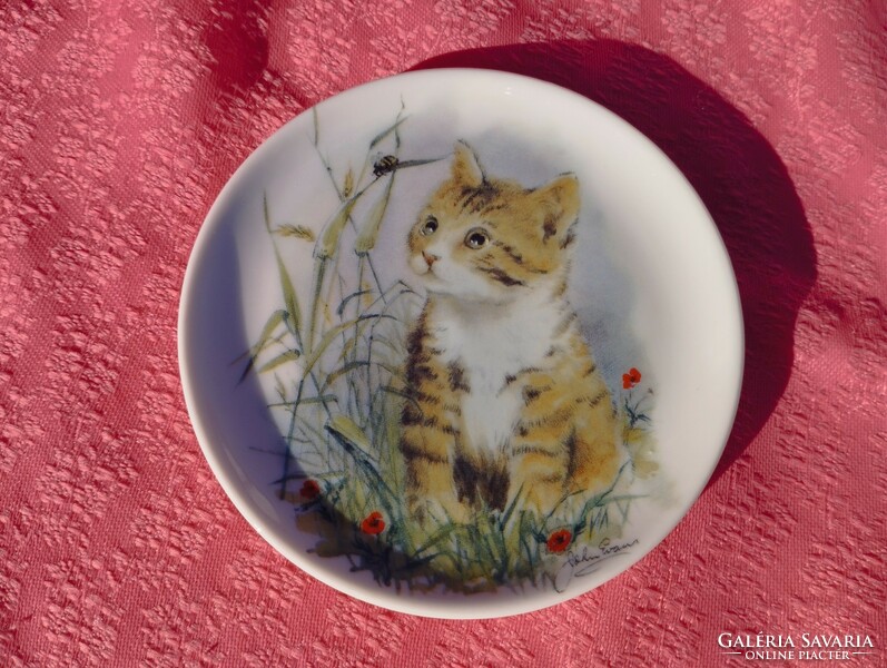 Gyönyörű porcelán cicás kicsi tányér, tál