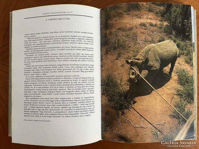 Szafári a Kilimandzsáró alatt fényképes ismeretterjesztő könyv (Afrika, vadászat, utazás)