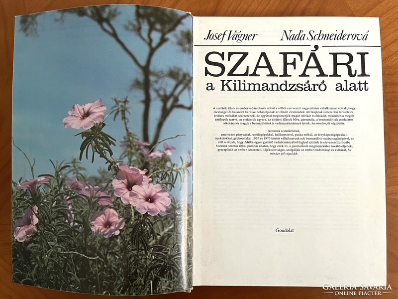 Safari under the Kilimanjaro photographic informative book (Africa, hunting, travel)