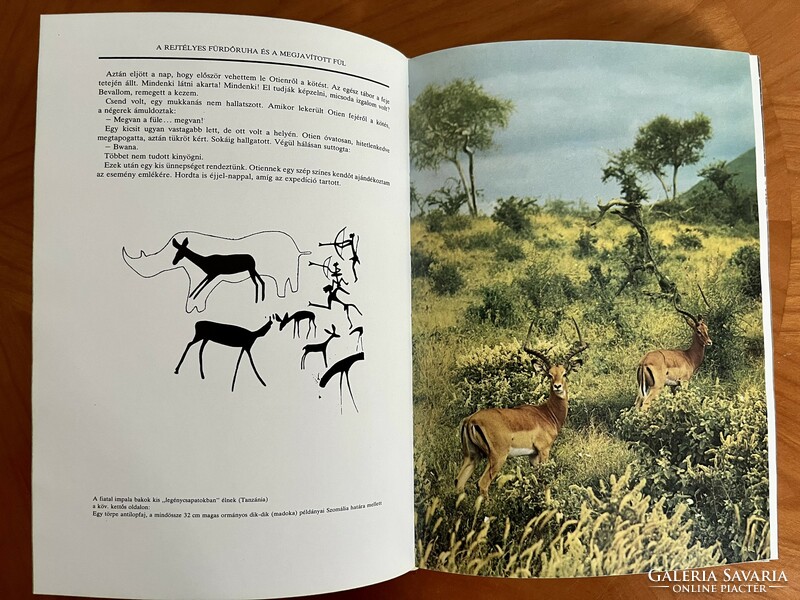 Safari under the Kilimanjaro photographic informative book (Africa, hunting, travel)