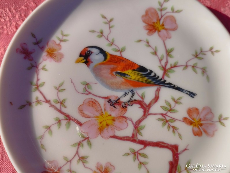 Kleiber, madaras porcelán kicsi tányér, tál