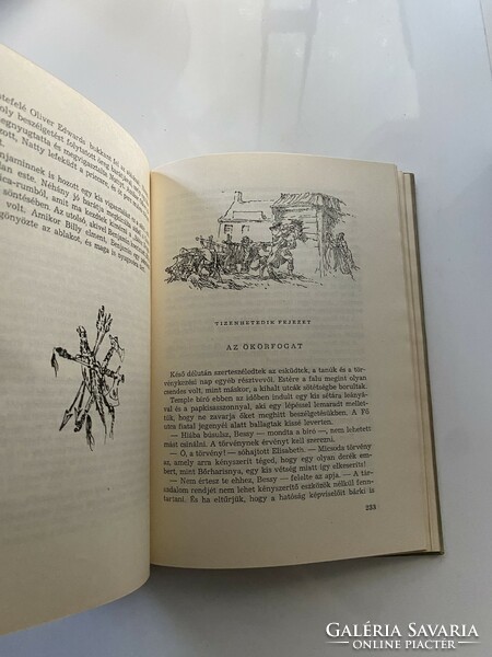 J.F.Cooper:  Bőrharisnya Móra Ferenc könyvkiadó 1964.