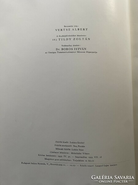 Tildy-Vertse: Kisbalaton Műveltnép könyvkiadó 1953.
