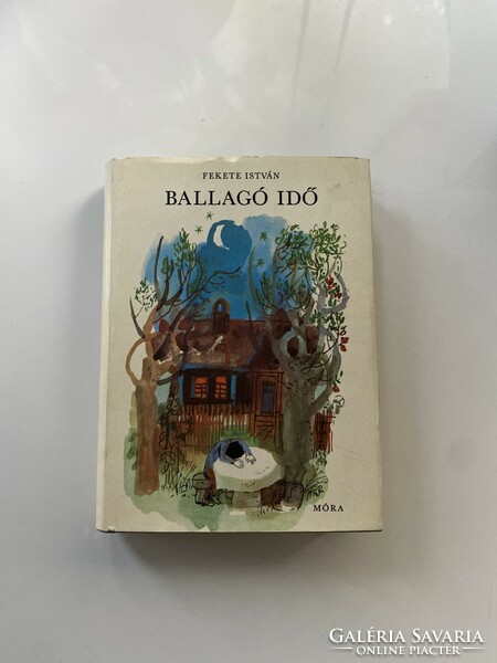 Fekete István: Ballagó idő, életrajzi regény, Móra könyvkiadó 1970.