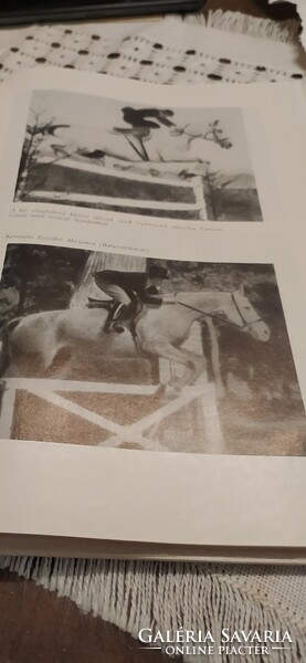 Ló, lovak, versenyló ---- Radó Oszkár  Sivó Róbert   Kincsem, Aranyos,  Imperial és a többiek
