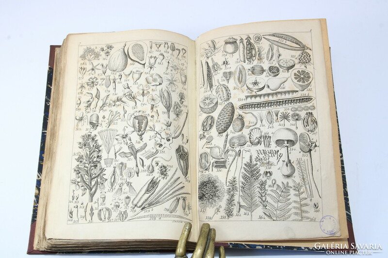 1836 - Péter Vajda's herbal book - rare with 368 plant illustrations on 8 copperplates !!