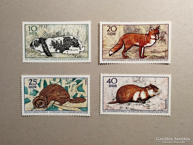 Germany, ddr fauna, fur animals 1970