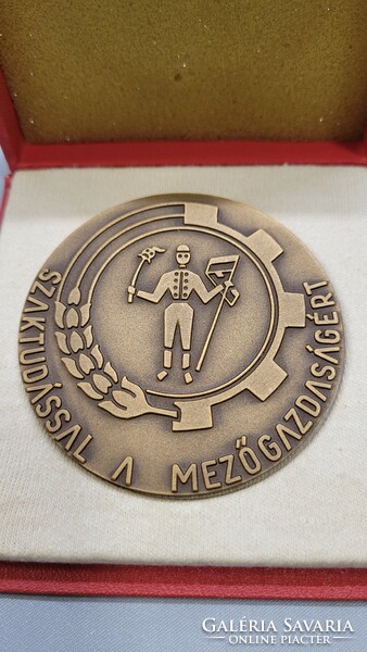 Bronze commemorative plaque in gift box