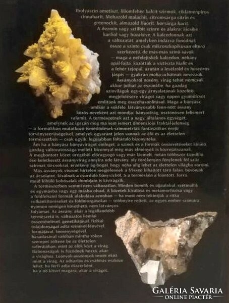 Mine flowers book of minerals