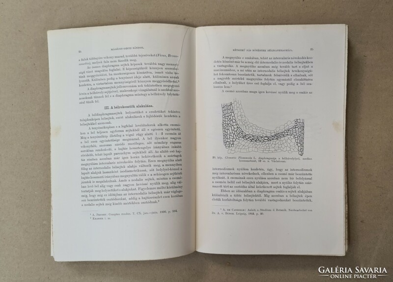 Mathematikai és Természettudományi Értesitő - XVII. Kötet, 1.Füzet (1899) Csak egyben eladó 21 db!!