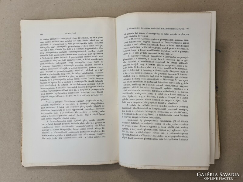 Journal of mathematics and natural sciences - xxiv. Volume, Booklet 4 (1906) 21 for sale only together!!!