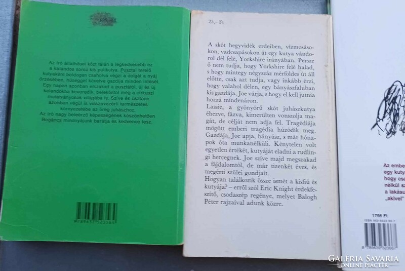 Kutyás könyvek  - darabáron LASSIE HAZATÉR - BOGÁNCS - BUKFENC MINDENT TUD...  - KÖLYÖKKUTYA