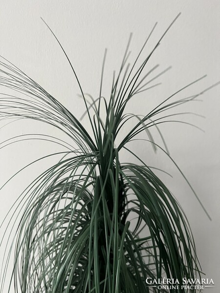 Zöld művirág pálma vagy fű lakás dekoráció