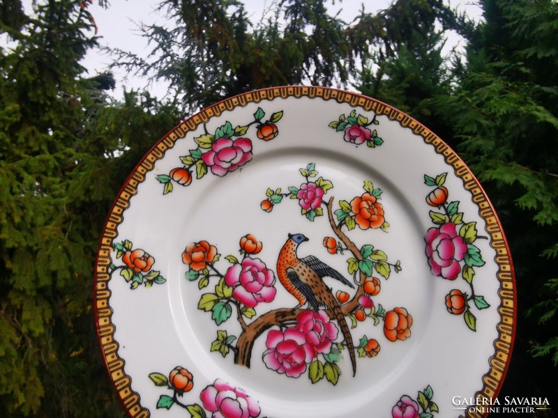 Bird of paradise bowl, victoria china