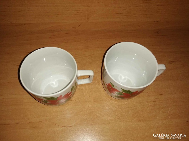 Pair of Zsolnay porcelain poinsettia mugs (28/d)