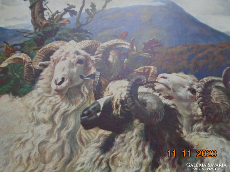 Béla Pállik: rams, painting print