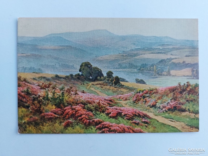 Old postcard art postcard landscape