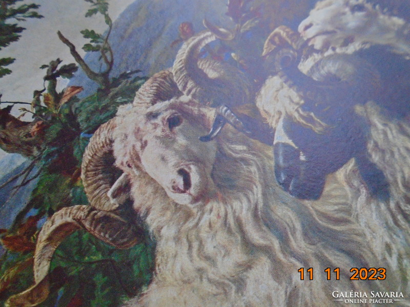 Béla Pállik: rams, painting print