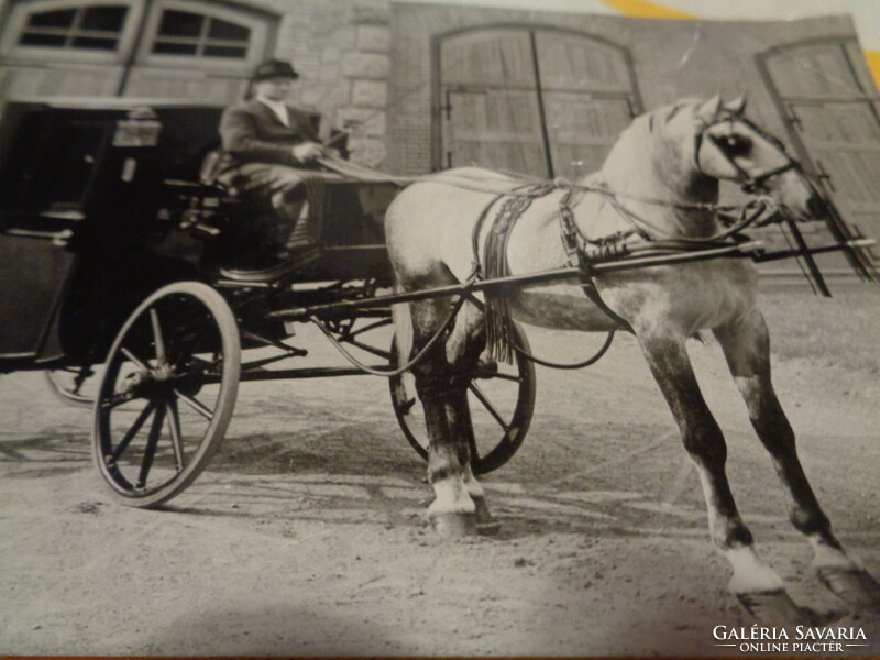 Parade, car museum, postcard from the 60s