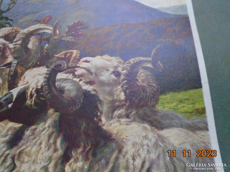 Béla Pállik: rams, painting print