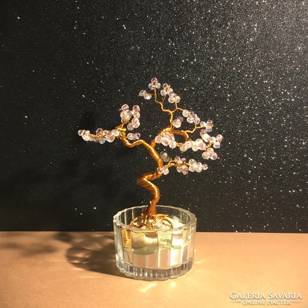 Pearl bonsai, ornamental tree