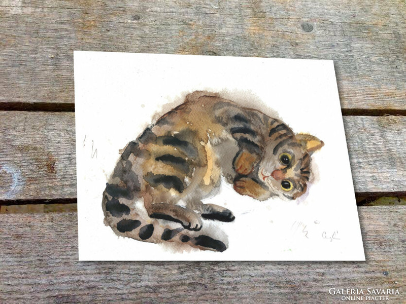 Tabby cat original watercolor painting on paper (contemporary painter/graphic artist Ágnes Laczó) cat