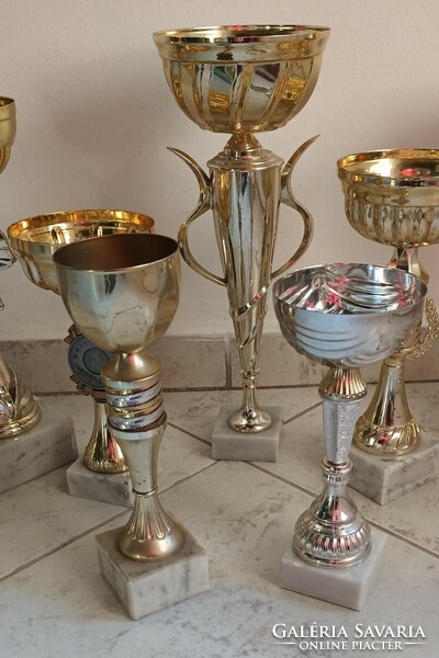 Sports cups