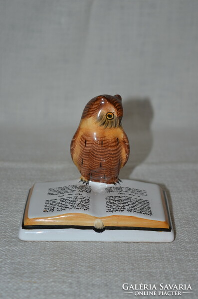 An owl sitting on a book in Bodrogkeresztúr