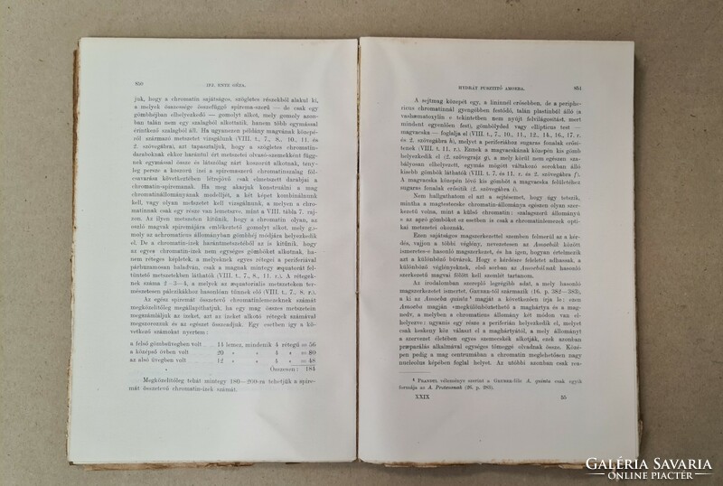 Journal of mathematics and natural sciences - xxix. Volume, Booklet 5 (1911). 21 pieces for sale only together