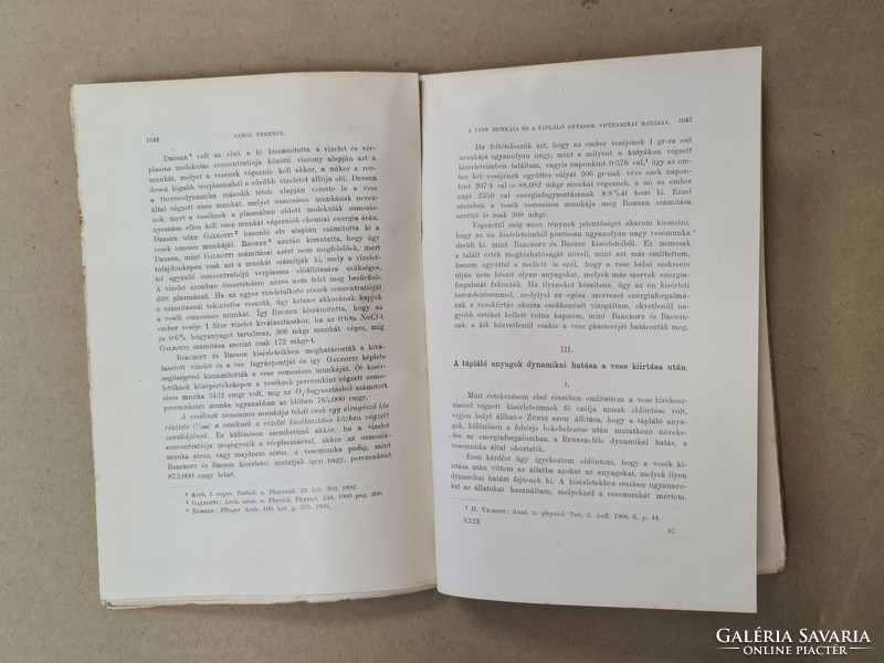Journal of mathematics and natural sciences - xxix. Booklet, (?) Booklet (1911) only for sale together, 26 pieces!