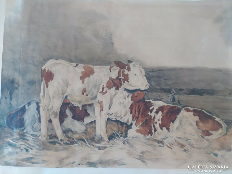 Edvi ílés selling cows in the barn colored etching 47 x 34 cm