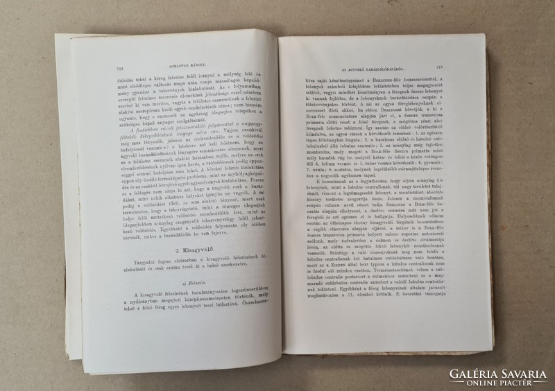 Mathematikai és Természettudományi Értesitő - XXXV. Kötet, 5. Füzet (1917) Csak egyben eladó 21 db!!