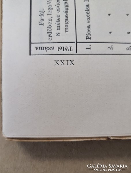 Mathematikai és Természettudományi Értesitő - XXIX. Kötet, (?) Füzet (1911) Csak egyben eladó 26 db!