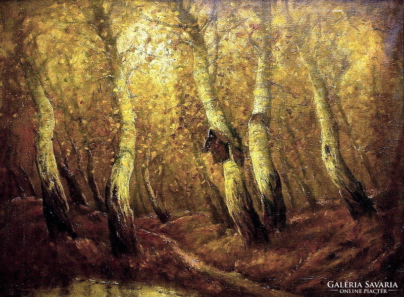 Albert Ferenc?: Erdőbelső,festmény méret 60 x 80 cm,olaj-vászon